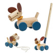 PLAN TOYS (プラントイ) プル&プッシュパピー 5724 J609765 (1歳~)